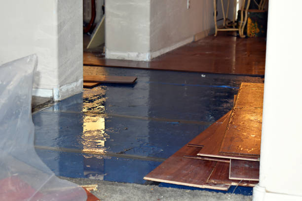 Professional Flood Damage Repair technician working in Lansing, IL